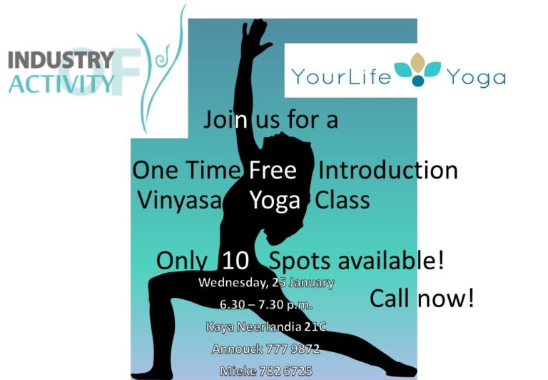 Free Introduction Vinyasa Yoga Class • YourLife.Yoga